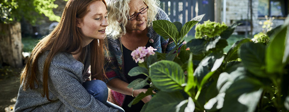 Deux femmes qui cultivent des fleures 